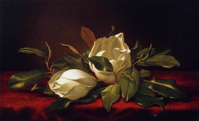 Martin Johnson Heade paintings reproduction: Martin Johnson Heade oil paintings