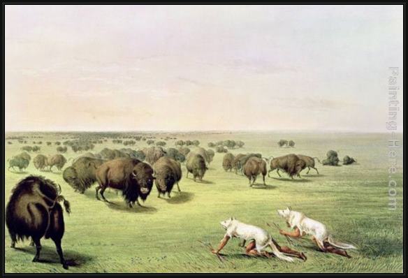 Framed George Catlin hunting buffalo camouflaged with wolf skins, circa 1832 painting