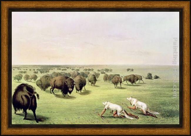 Framed George Catlin hunting buffalo camouflaged with wolf skins, circa 1832 painting