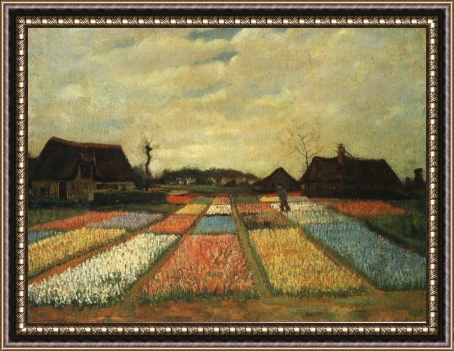 Framed Vincent van Gogh flower beds in holland painting