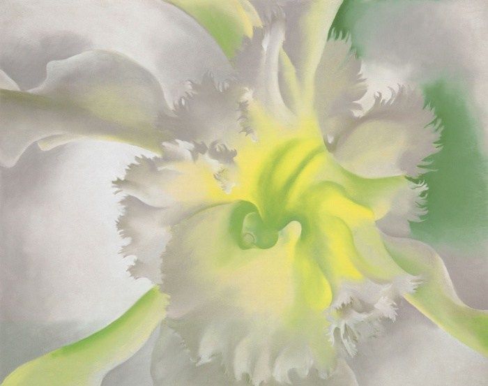 Georgia O'Keeffe An Orchid 1941 Painting 50% off - ArtExpress.ws